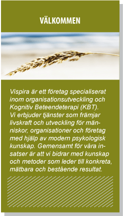 Vispira r ett fretag specialiserat inom organisationsutveckling och Kognitiv Beteendeterapi (KBT). Vi erbjuder tjnster som frmjar livskraft och utveckling fr mnniskor, organisationer och fretag med hjlp av modern psykologisk kunskap. Vi arbetar inom flera olika omrden, men gemensamt fr vra insatser r att vi bidrar med kunskap och metoder som leder till konkreta, mtbara och bestende resultat. 